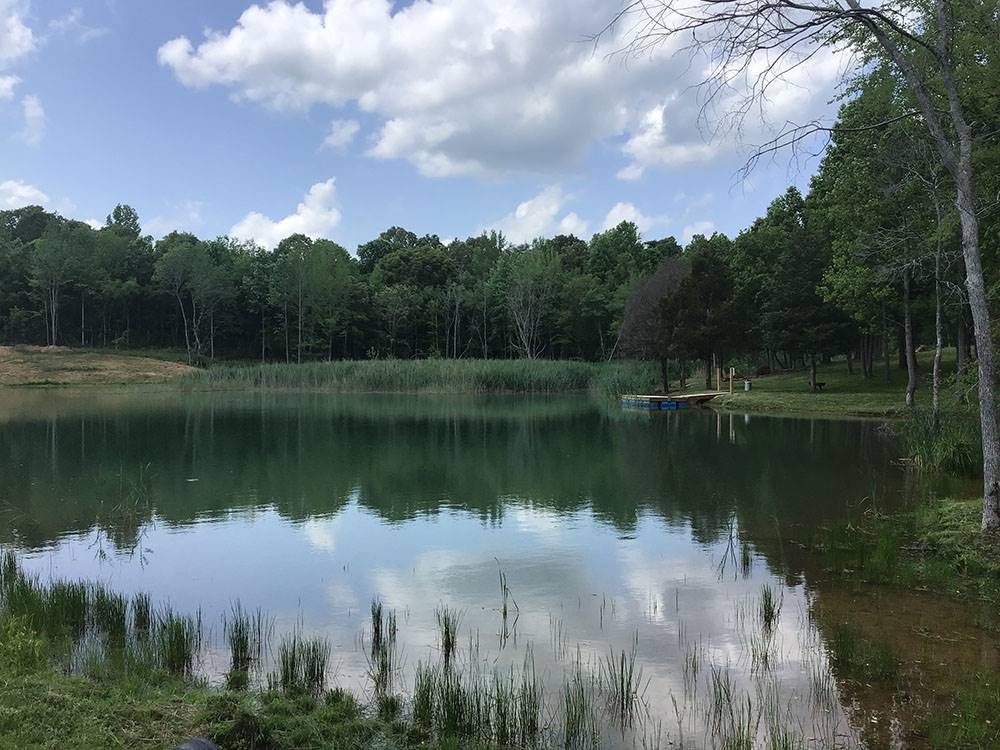 The pond with a dock