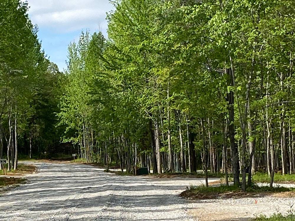 A gravel road that leads to a wooded area