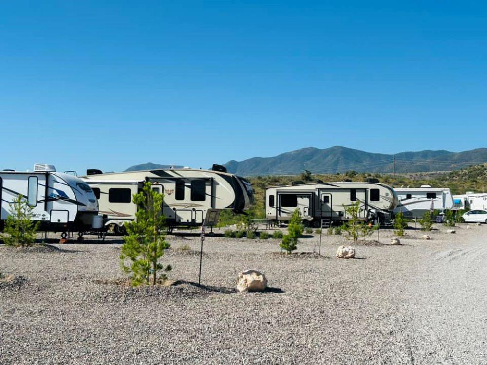 Small trees planted near sites at COTTONWOOD SPRINGS RV RESORT