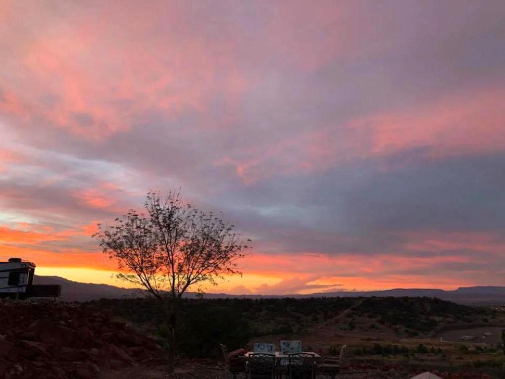 Tree in the sunset at SEDONA VIEW RV RESORT