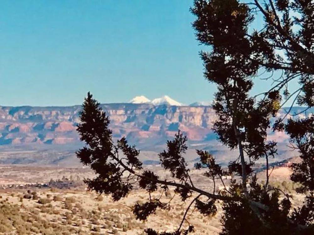 View from a cliff with a tree at SEDONA VIEW RV RESORT