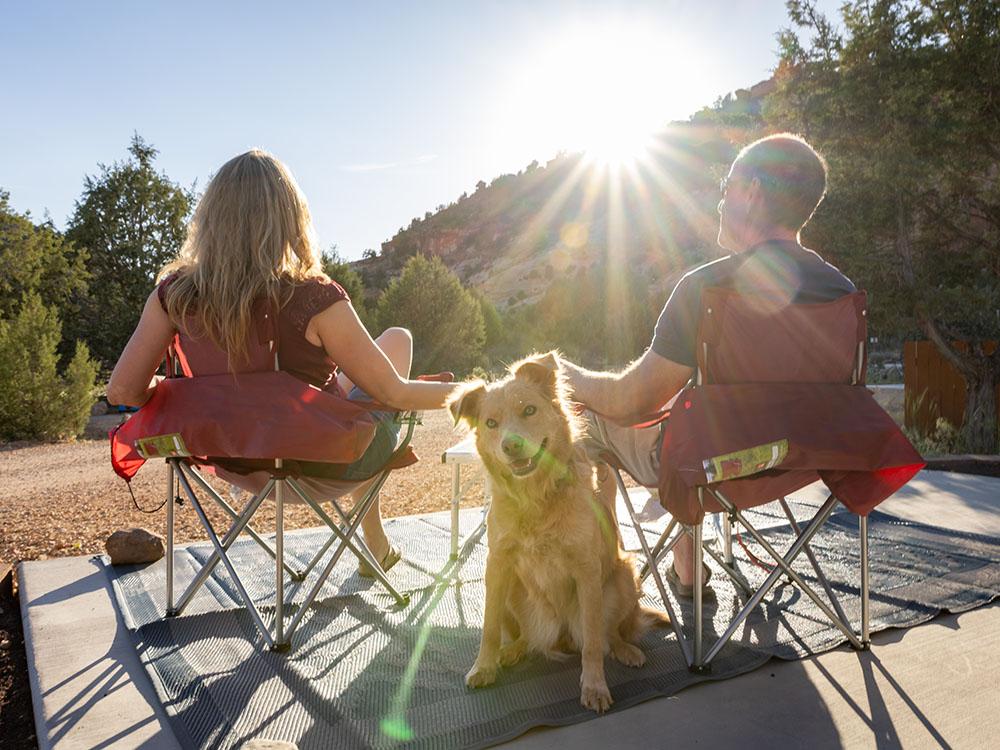 Dog facing the camera at BEST FRIENDS RV PARK