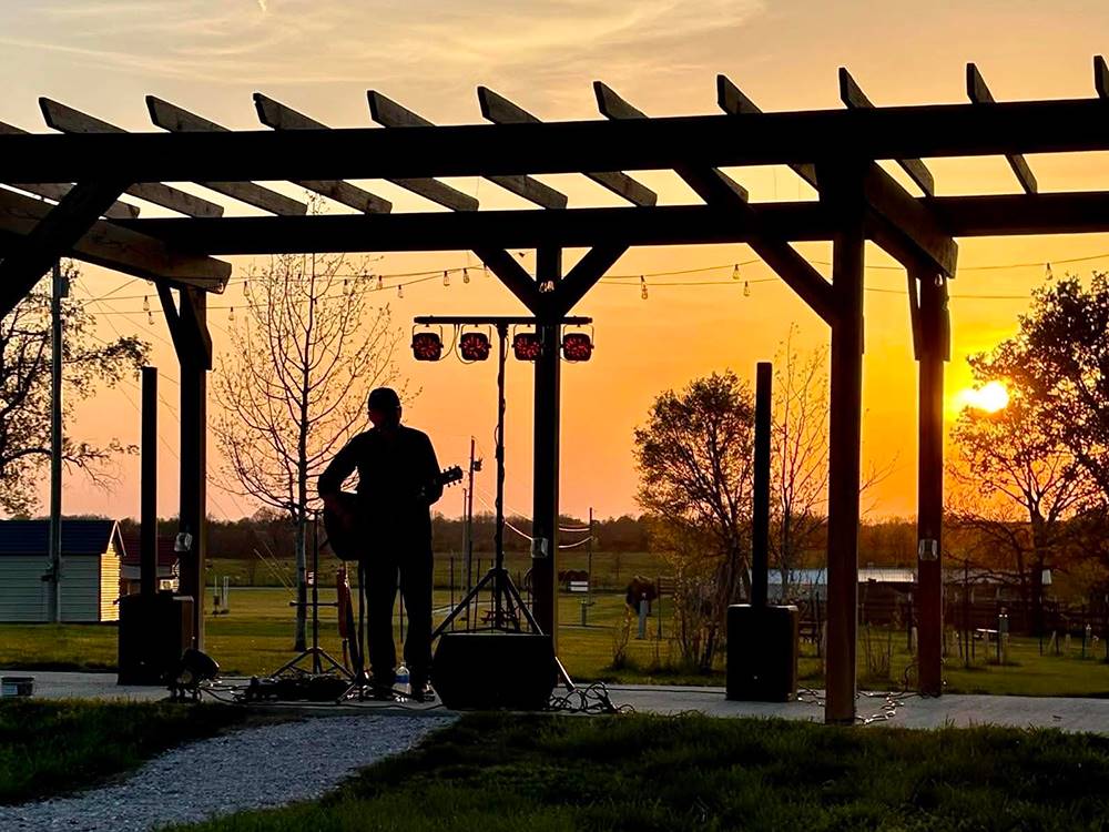 A man playing guitar under the pergola