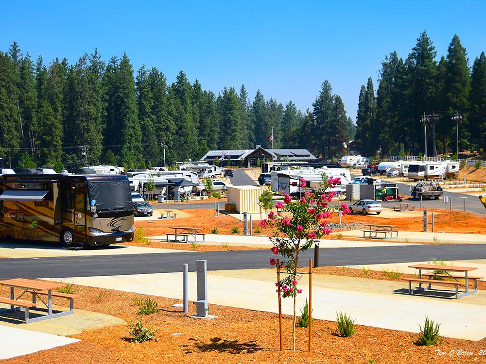 View of RVs parked in sites at GRASS VALLEY RV RESORT