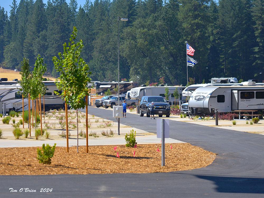 Road through the park at GRASS VALLEY RV RESORT