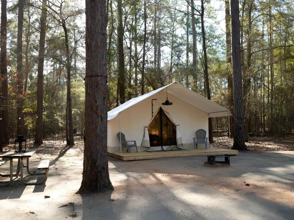 Glamping tent among tall trees at Timberline Glamping at Lula