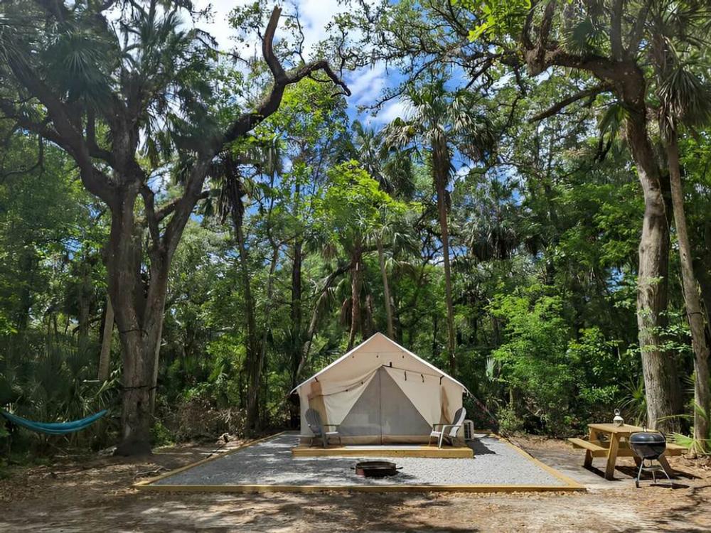 Glamping tent under shade trees at Timberline Glamping at Sarasota