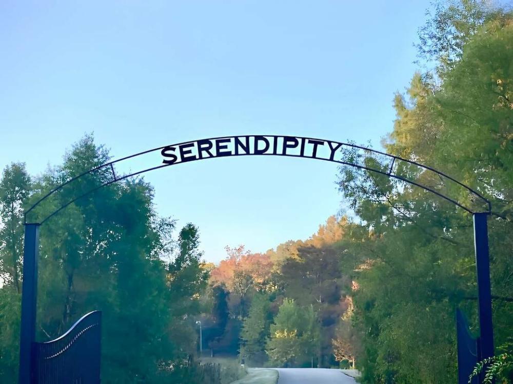 Iron gate with arch entrance at Serendipity Resort & Campground