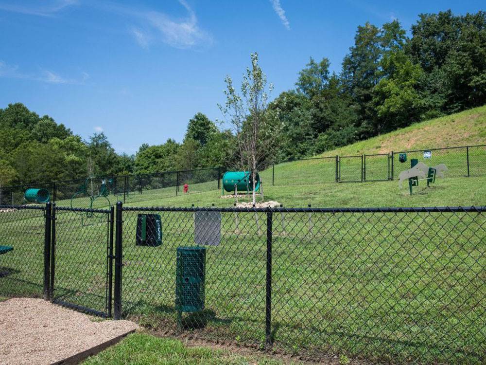 The dog park