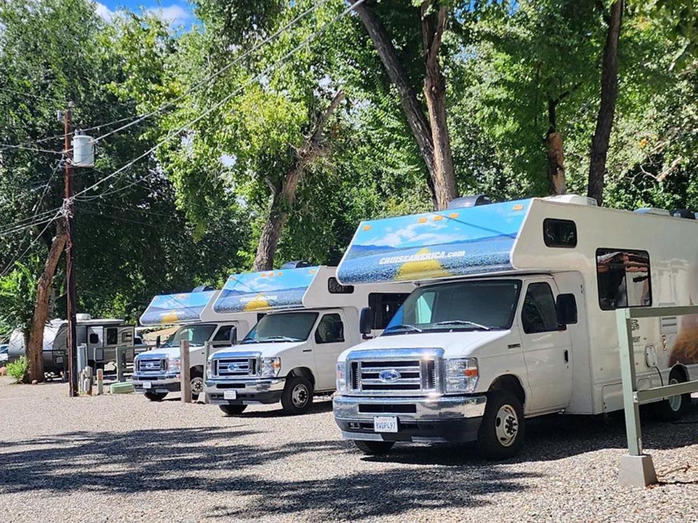 RVs lined up in sites at OAK CREEK MOBILODGE