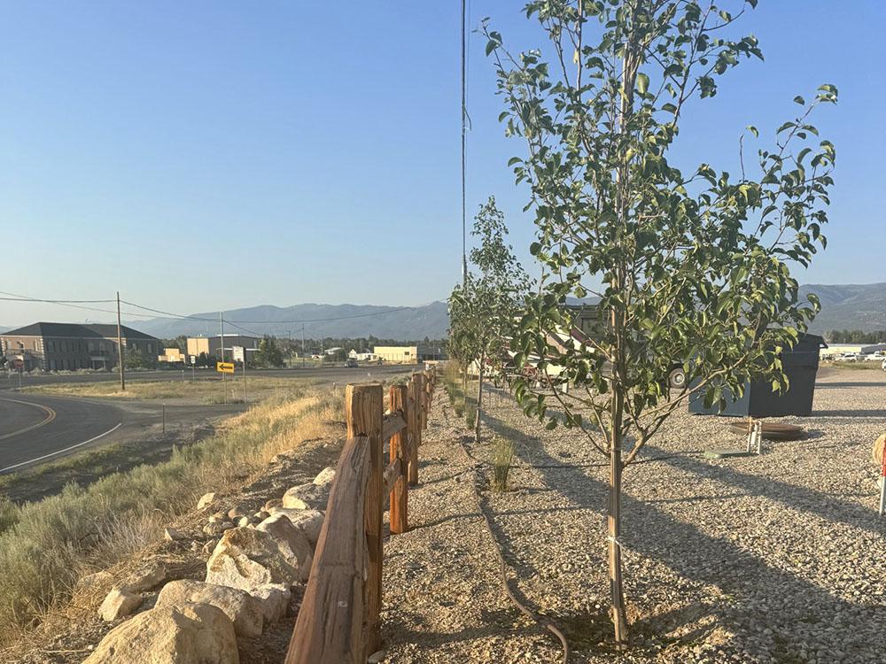 Fence between sites and the road at SKYLINE TRAILS RV PARK