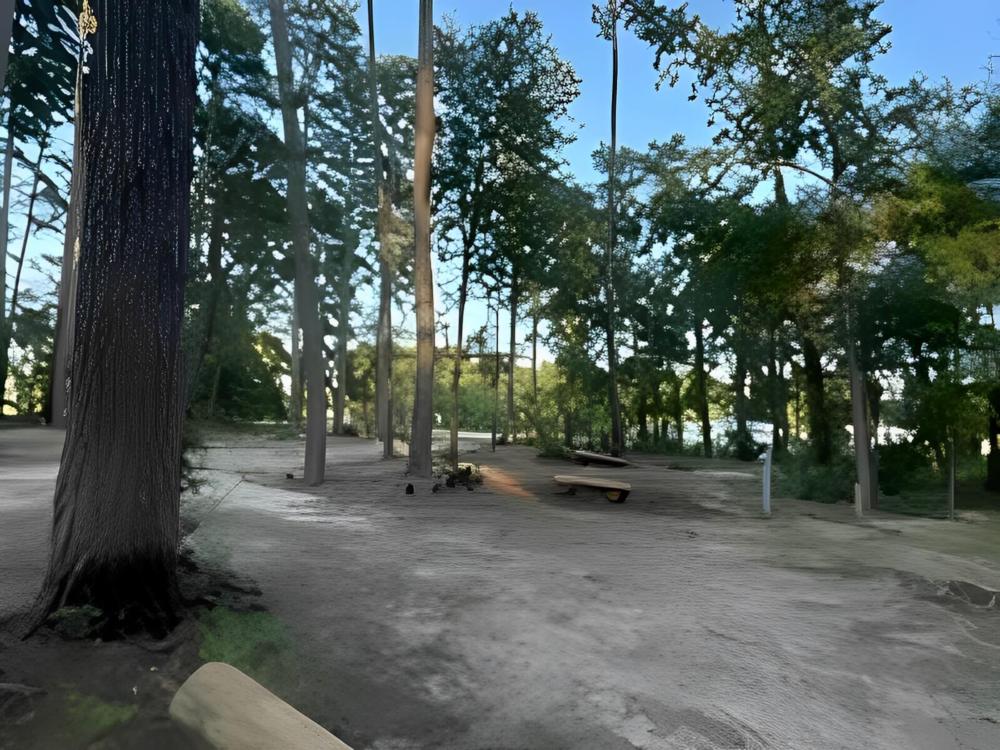 Open RV space at site Rustic Pine RV Park 55+