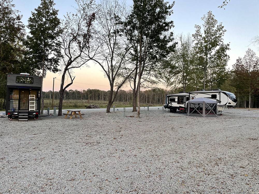 RVs surrounded by trees at Natchez RV Park