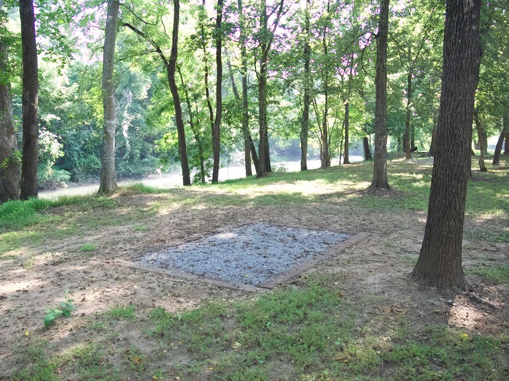 Site in the trees at SMITH RIVER RV PARK