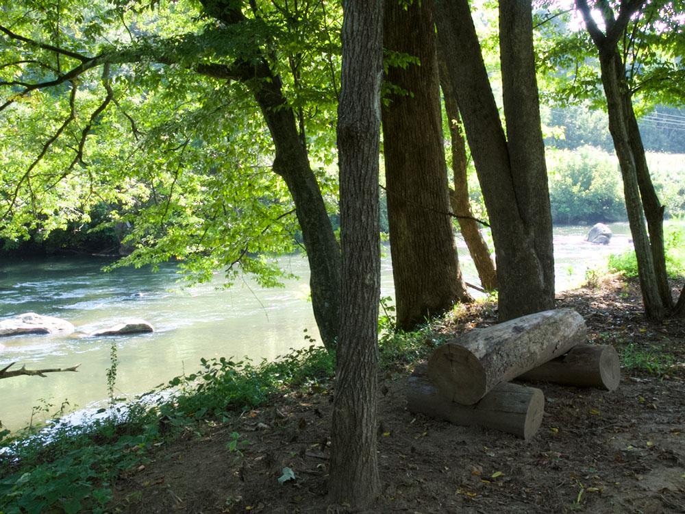 Trees along the water at SMITH RIVER RV PARK