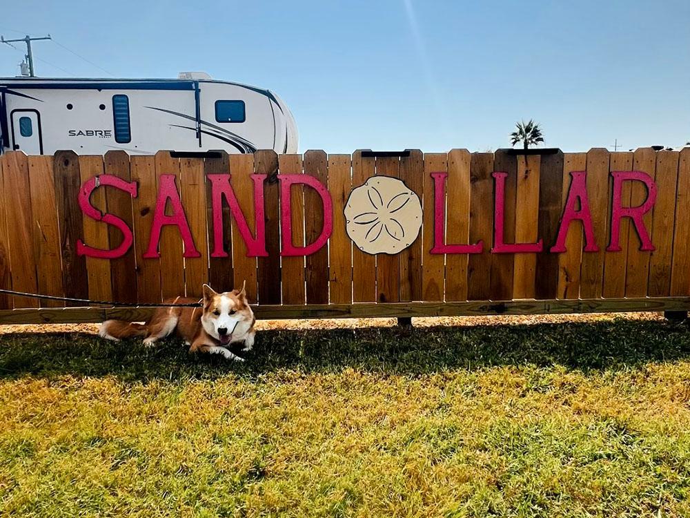 A dog cooling himself in the shade of a wood fence at SANDOLLAR RV PARK