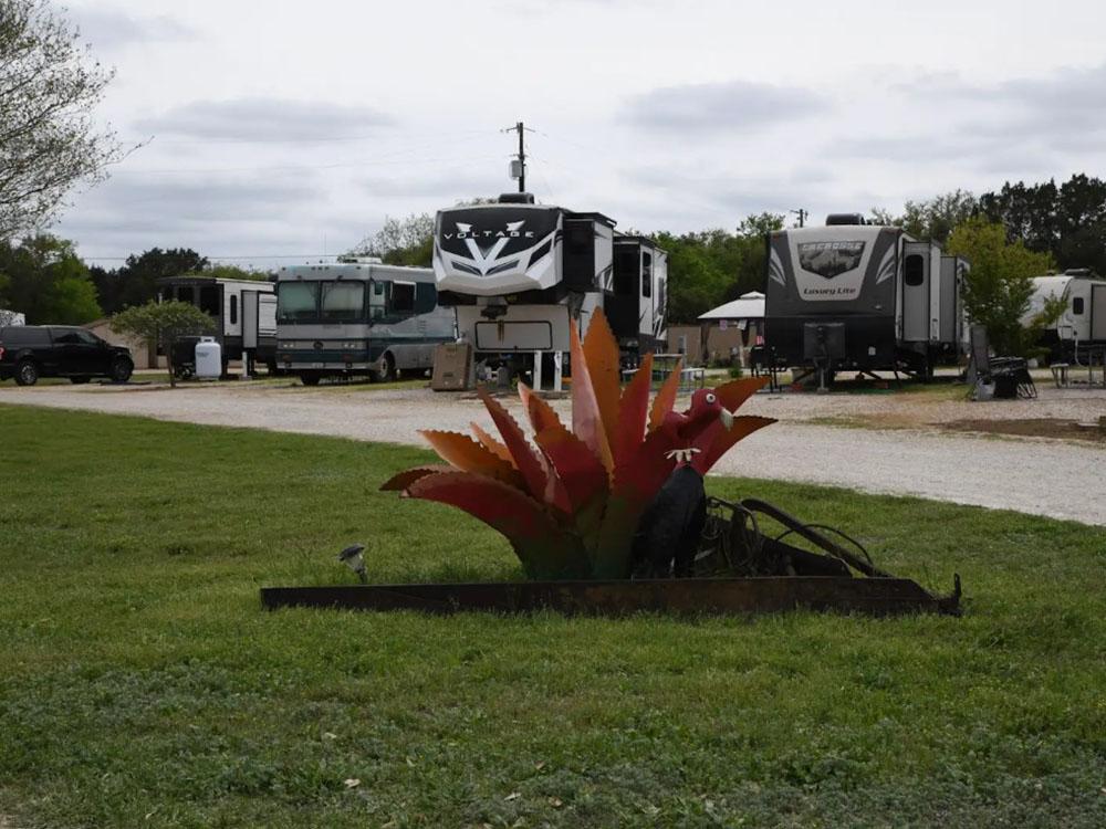 A succulent plant with RVs in the distance at OUR FRIENDS CAMPGROUND