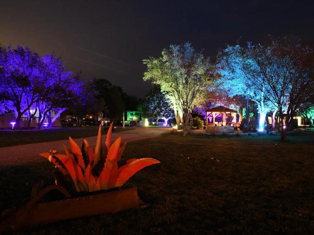 Foliage and trees illuminated by colored lights at OUR FRIENDS CAMPGROUND