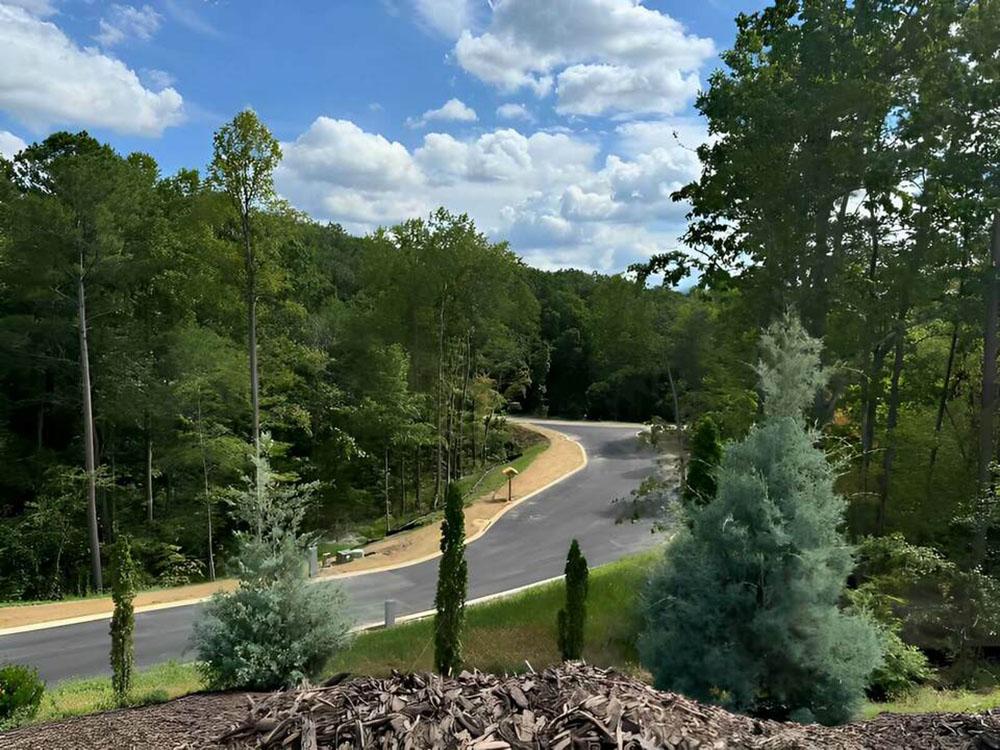 Tree lined road at TALKING ROCK MOTORCOACH RESORT