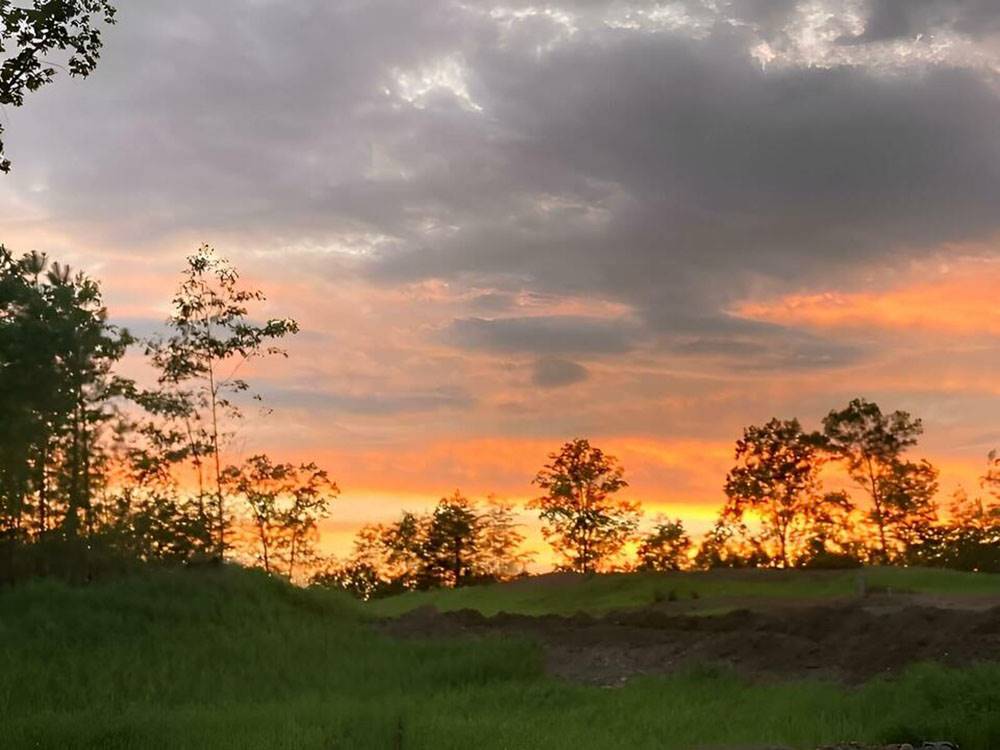 Sunrise through the trees at Talking Rock Motorcoach Resort