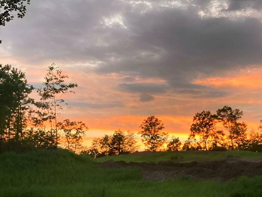 Sunrise through the trees