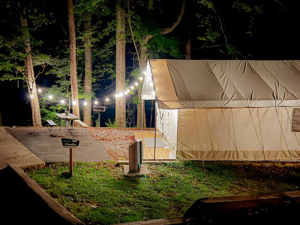 Night time look at a glamping tent at 	Timberline Glamping at Cheaha State Park