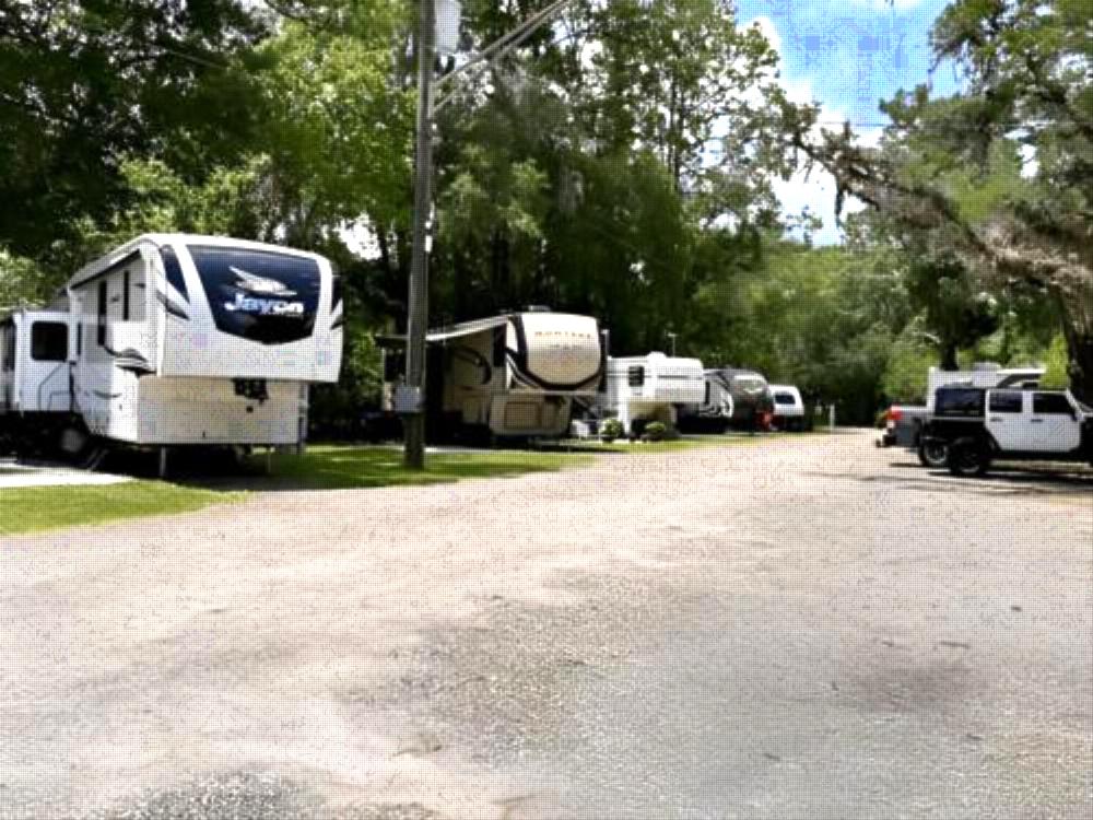 RV's parked at site Big Tree RV Park