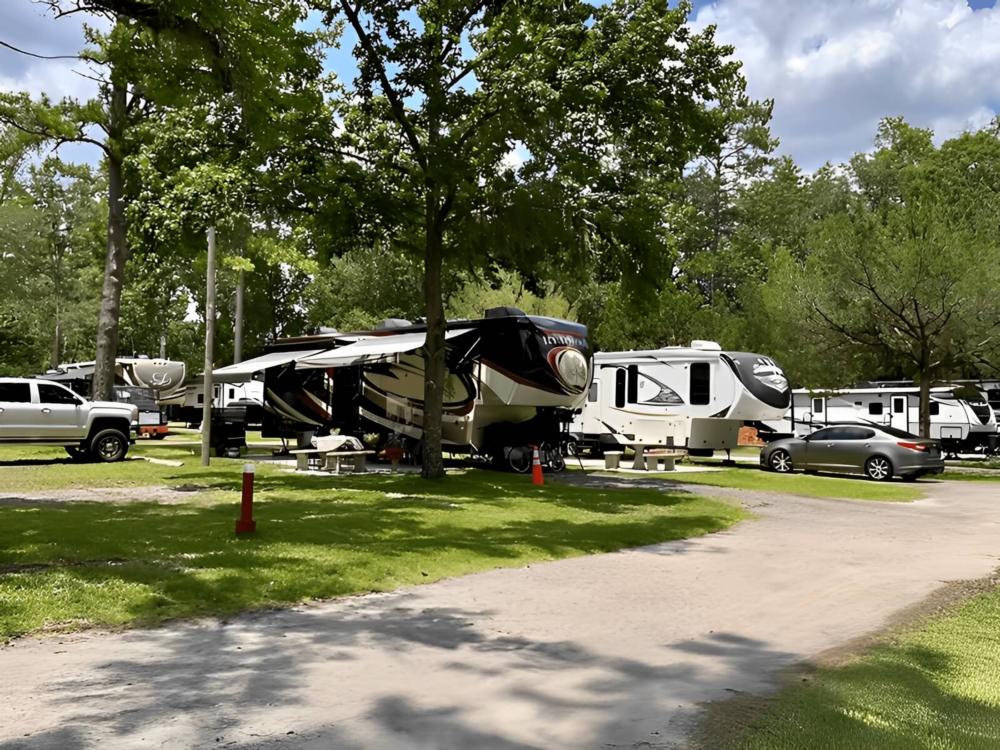 Parked RV's at site Big Tree RV Park