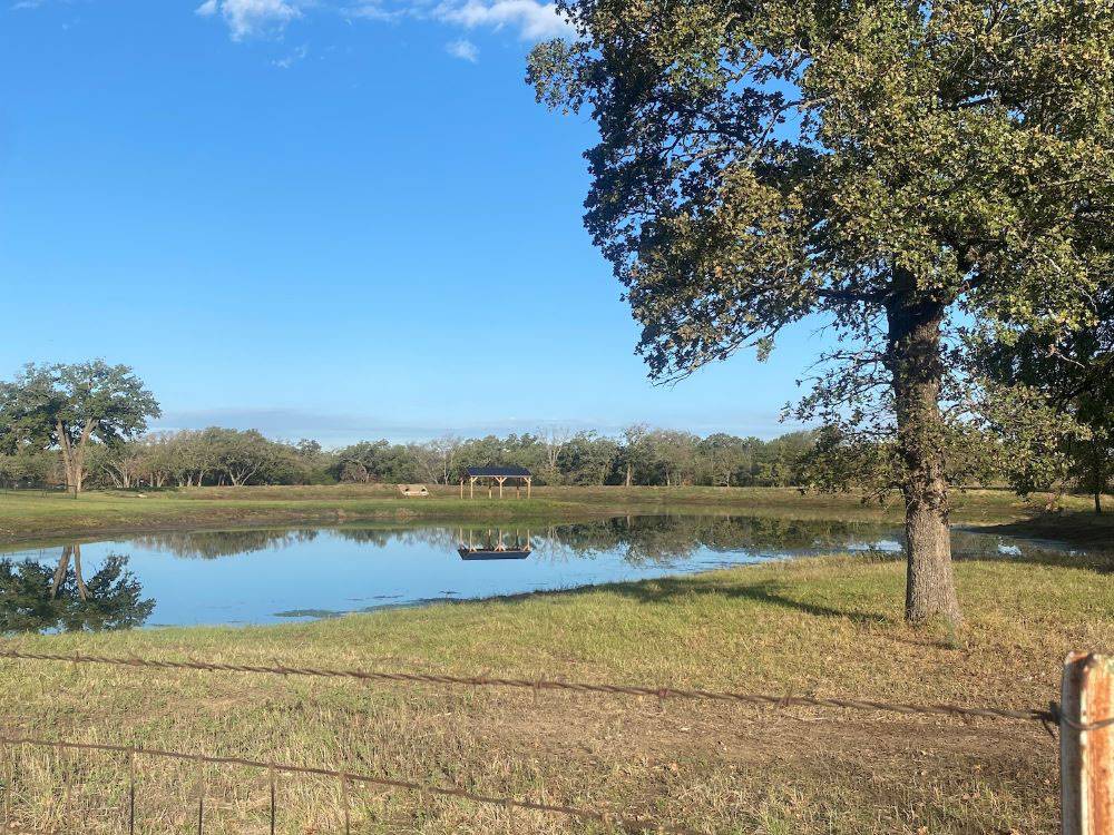 The pond at The Woods RV and Cabin Resort