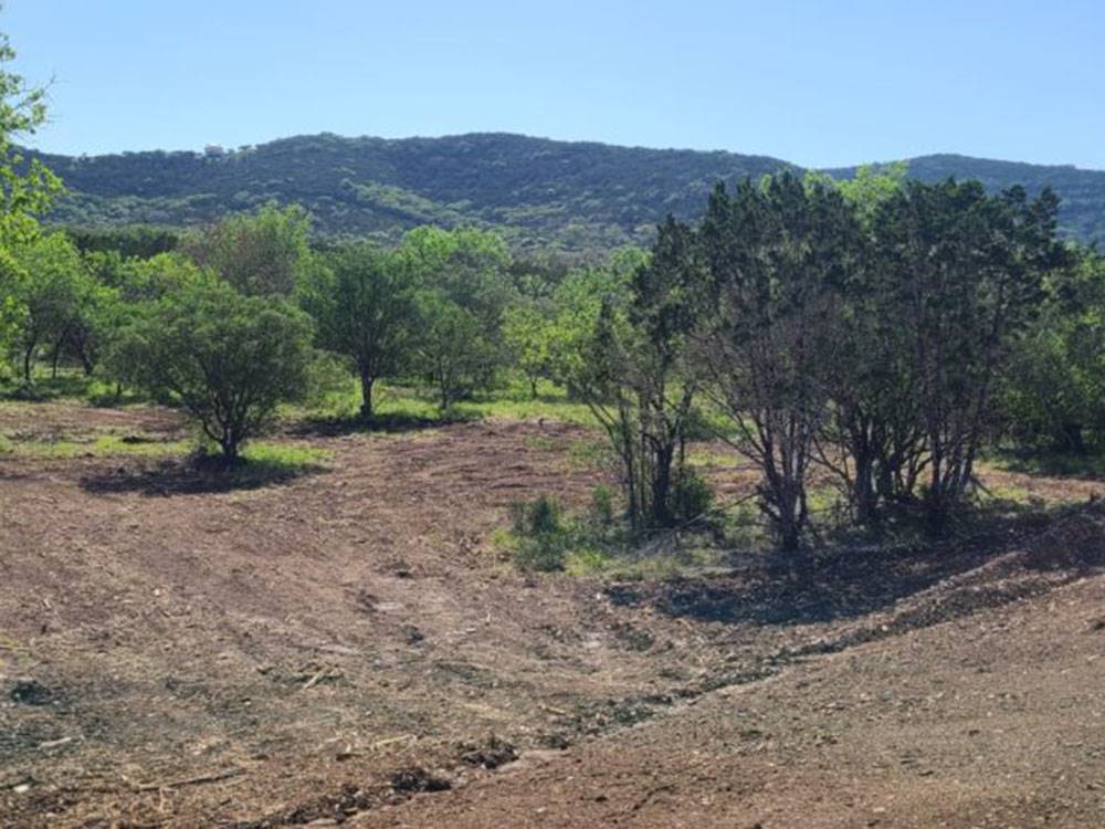 Landscape with trees and hills at Ptimaster RV Park