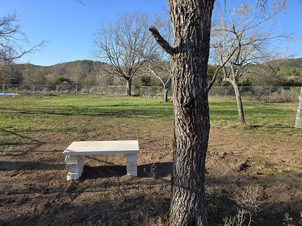 Bench seating near a tree