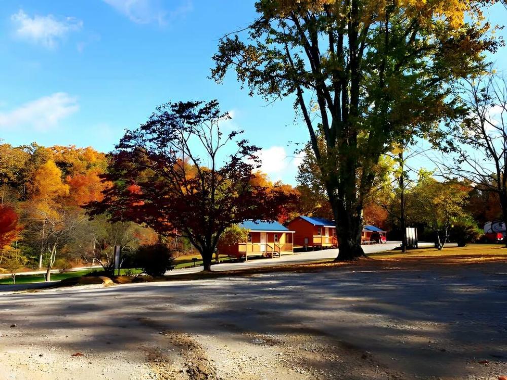Rental cabins near fall trees at Black House Mountain