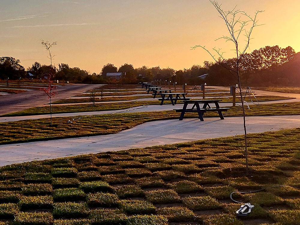 New sod near sites at Summer Breeze RV Park