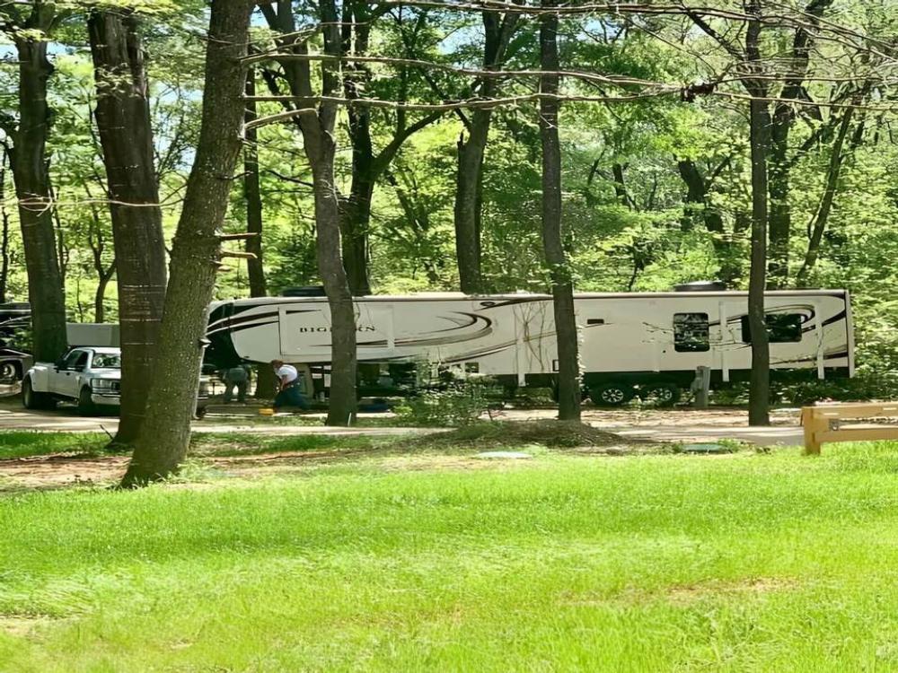View of RV site at Songbird RV Park