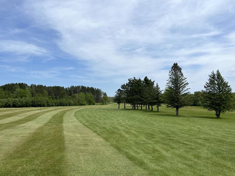 View of the grass area