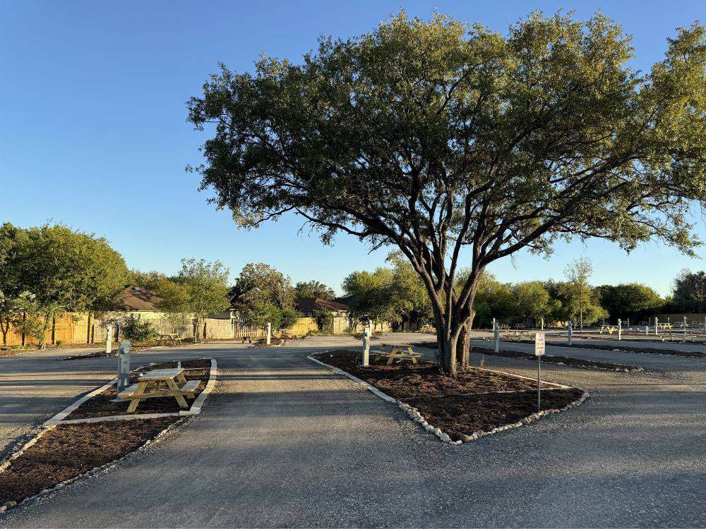 A gravel pull-thru site and tree