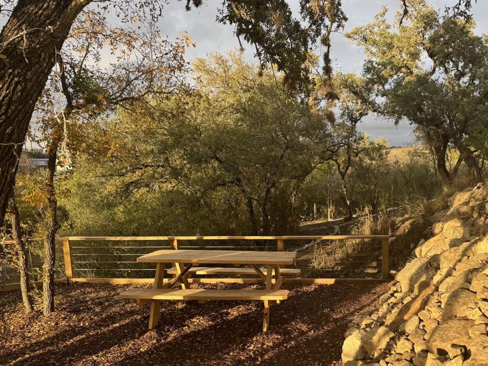 A picnic table under shade trees