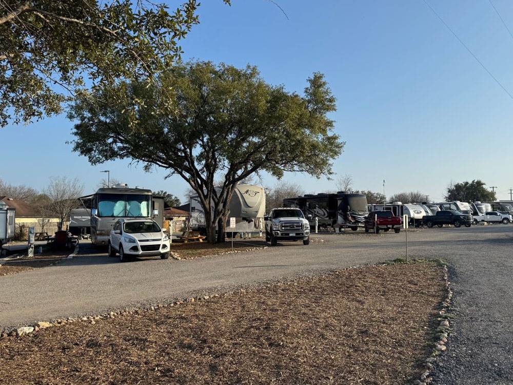 Many occupied RV spaces