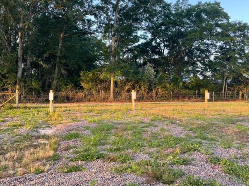 Grassy sites at Wiregrass RV Park