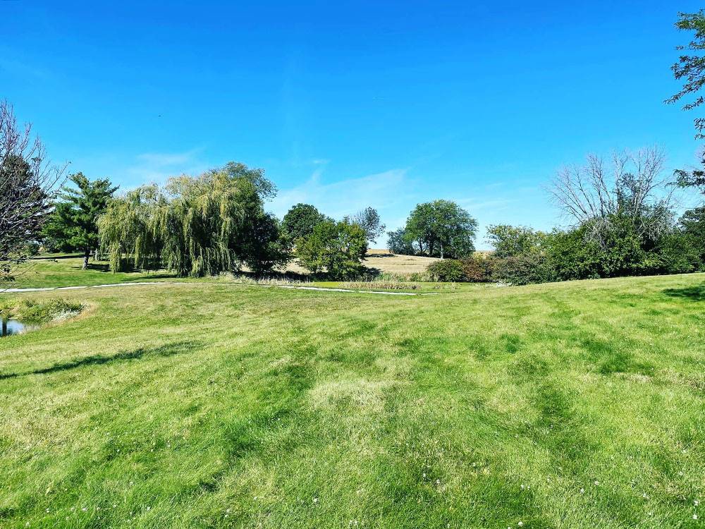 A view of a grassy area