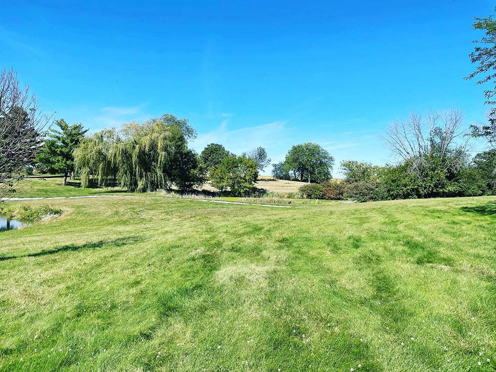 A view of a grassy area
