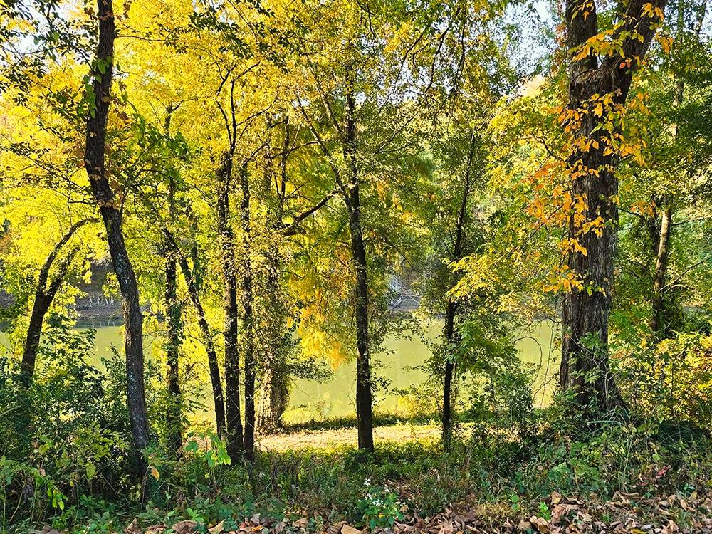 River Ranch RV Park 10