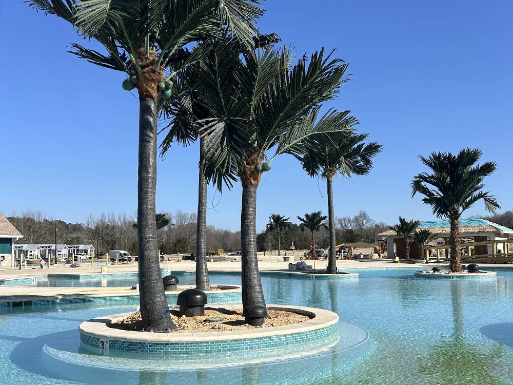 Trees by the pool