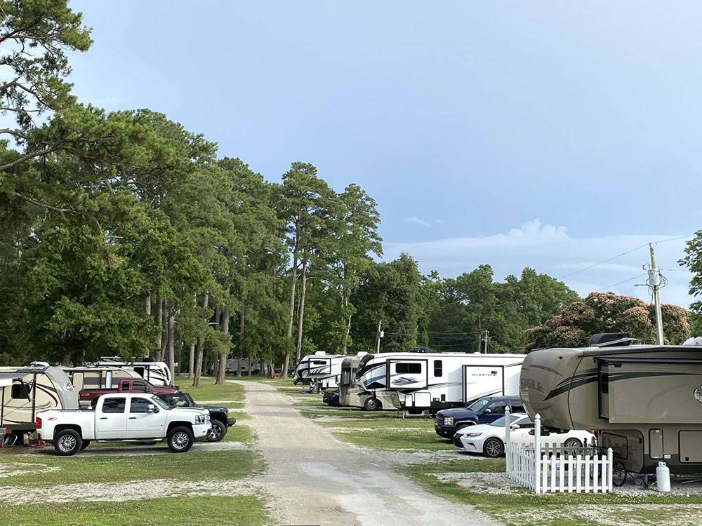 Row of RVs parked