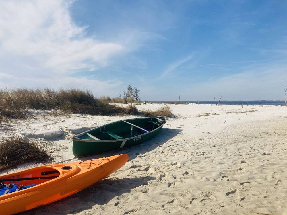 Kayaks parked at the shore