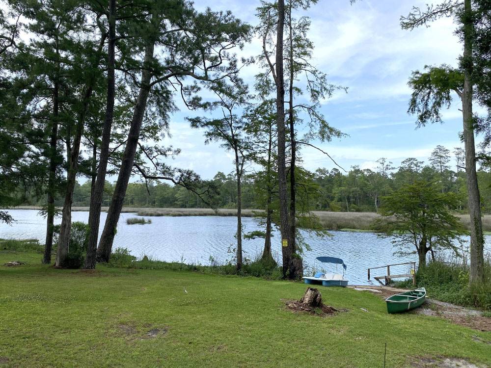 Grassy area near the shore
