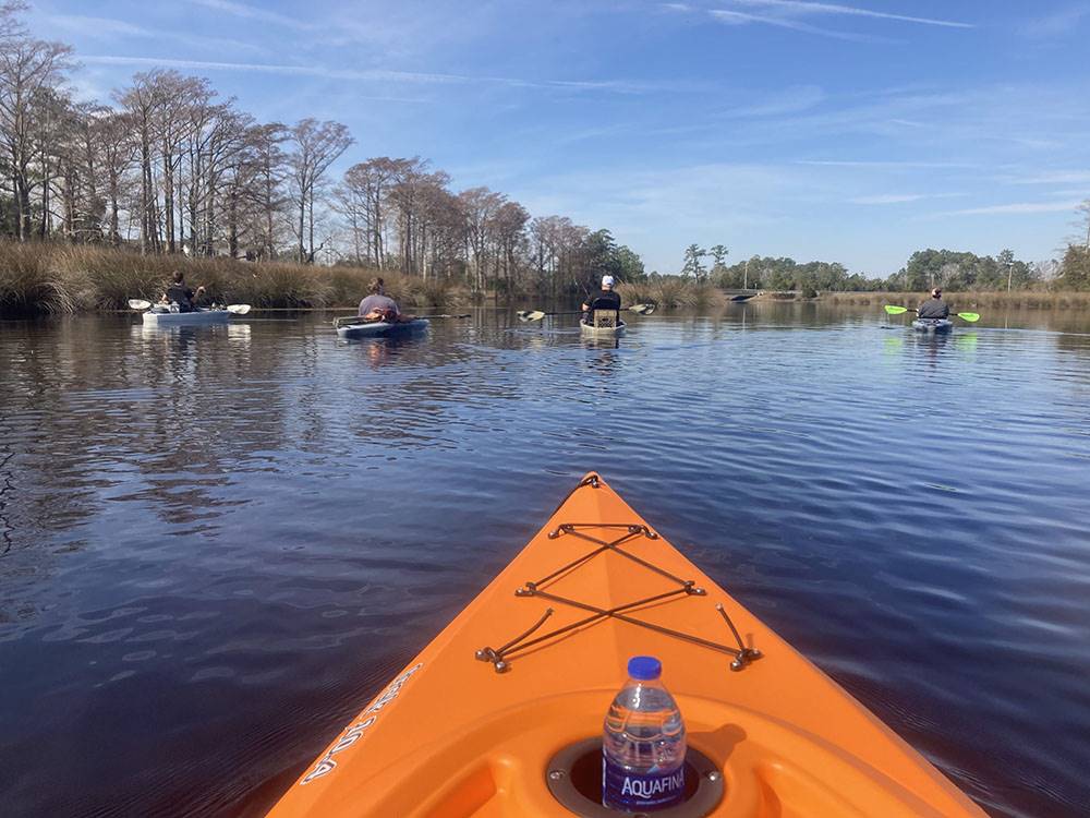 From the POV of a kayak