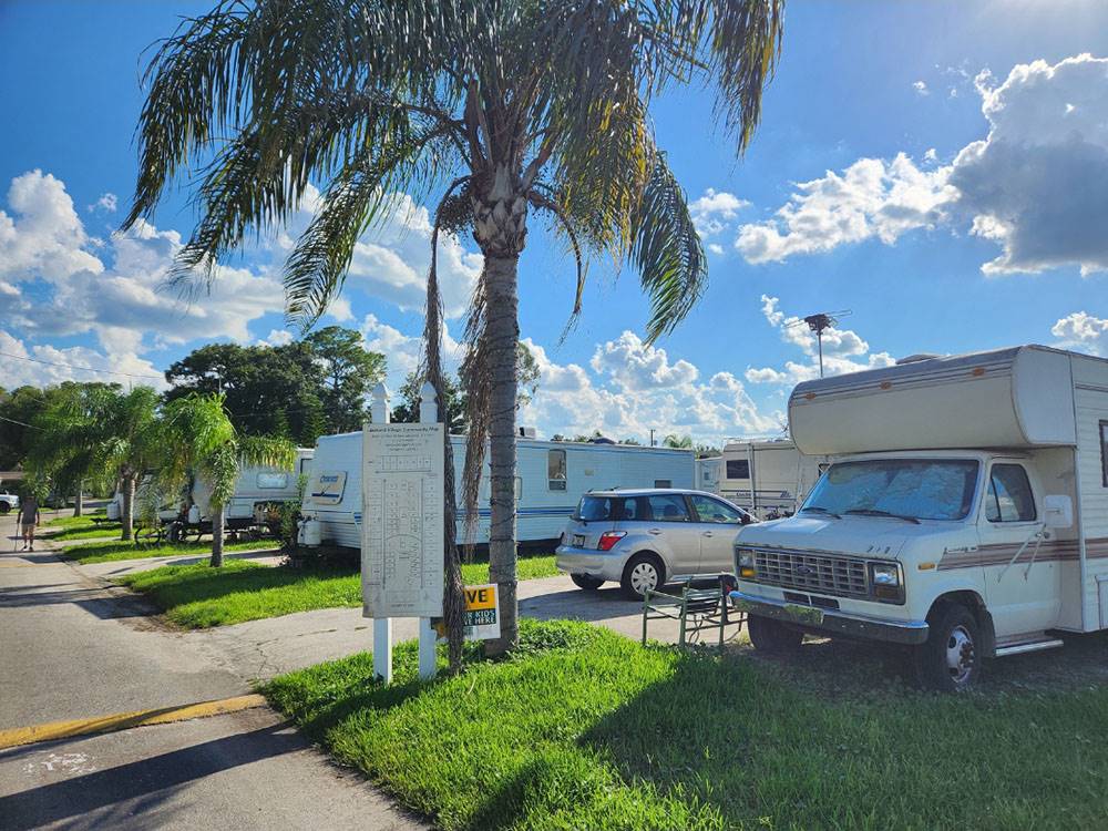 Paved sites with palm trees