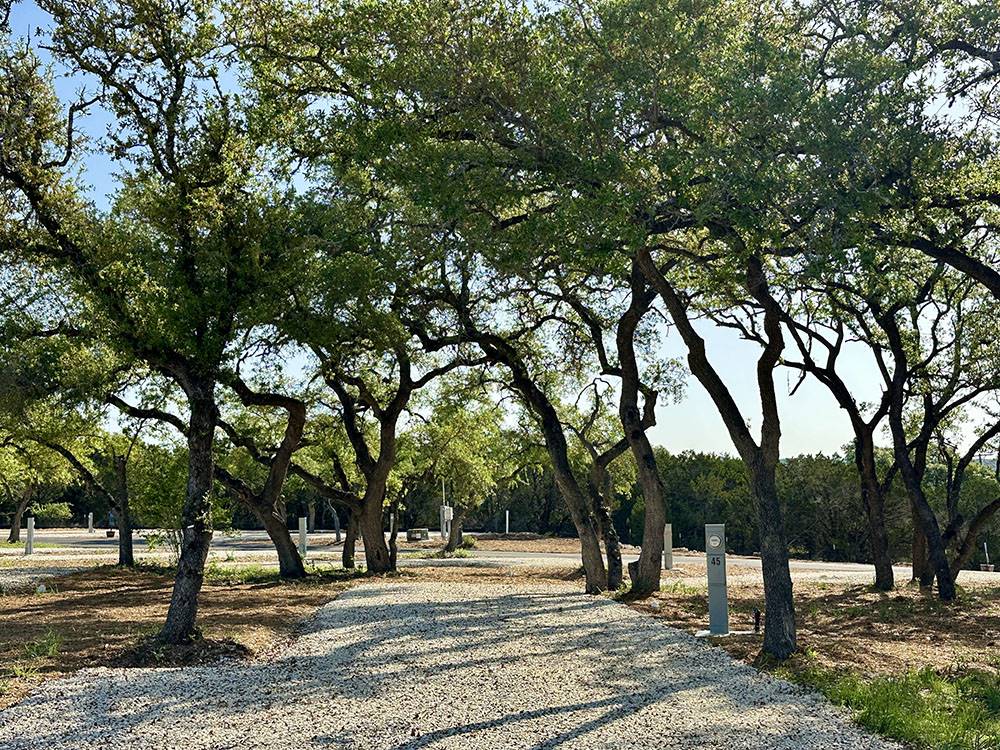 An RV site under shade trees