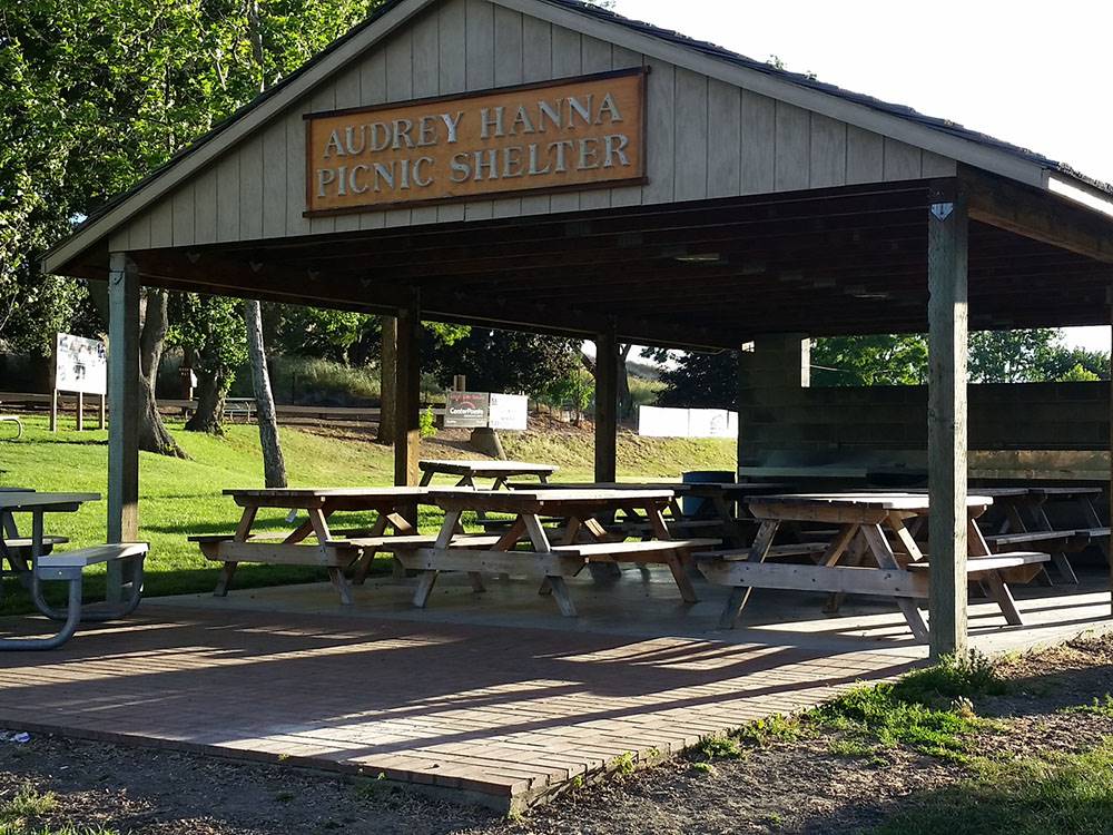 Picnic shelter with benches